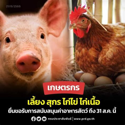 แจ้งเกษตรกรผู้เลี้ยง สุกร ไก่ไข่ ไก่เนื้อ ที่ต้องการเข้าร่วมโครงการ