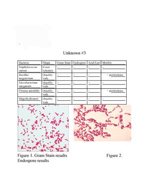 Unknown Tests BIOL 112 Studocu