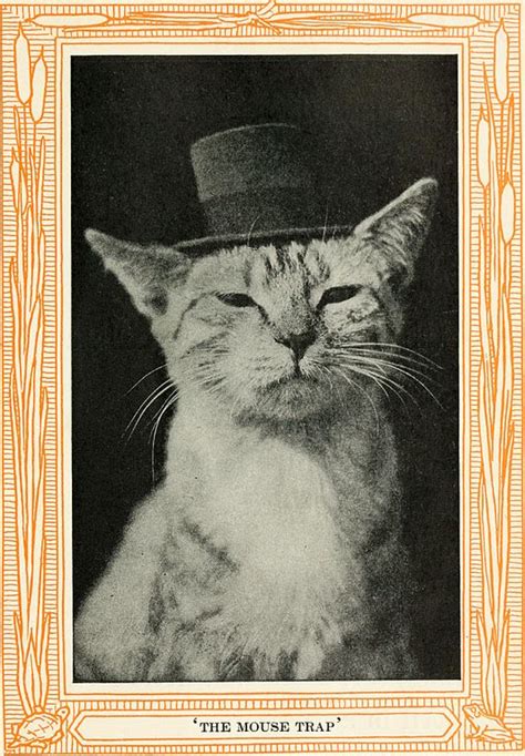 Filekittens And Cats A Book Of Tales 1911 14566401608