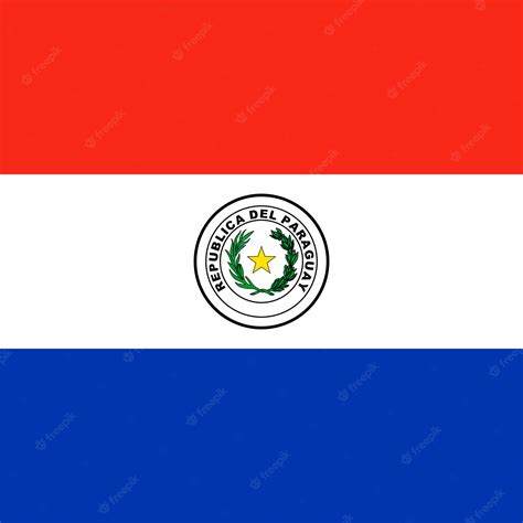 Premium Vector Paraguay Flag Official Colors Vector Illustration