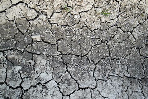 The effects of drought on the earth 27090008 Stock Photo at Vecteezy