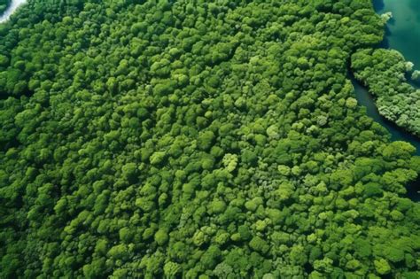 Premium Ai Image Capturing Nature S Carbon A Breathtaking Drone View