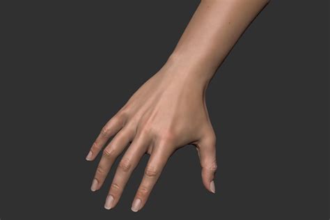 Realistic Female Arm 3d Model 99 Max Ma Ztl Fbx Obj Free3d