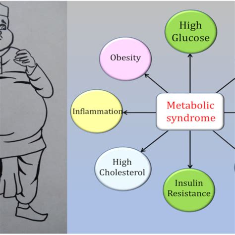 Different Nomenclature Given To Metabolic Syndrome MetS Conditions