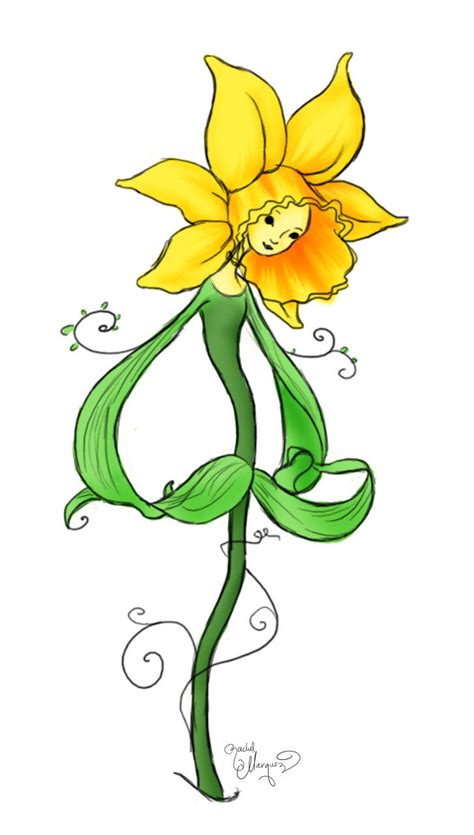 Daffodil Drawing - ClipArt Best