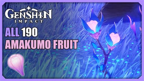 All Amakumo Fruit Locations Efficient Farming Route Genshin