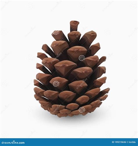 Pine Cone Realistic 3d Object Isolated On White Christmas Greeting