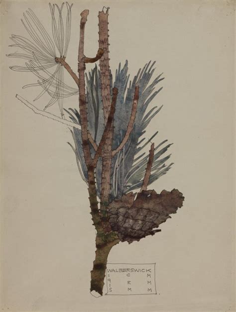 Clawmarks Pine Cones And Needles 1915 Mackintosh Charles