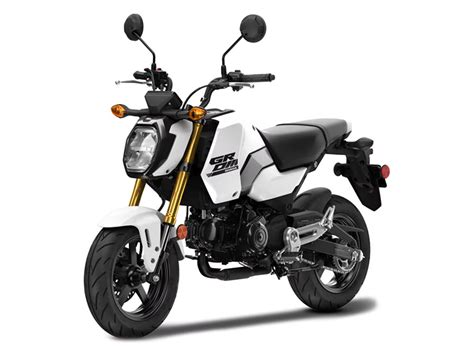 New 2025 Honda Grom ABS White Bear Lake MN Specs Price Photos