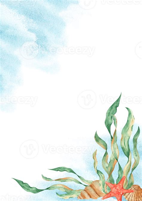 Sea Card Template With Seaweeds Seashells Red Starfish Blue