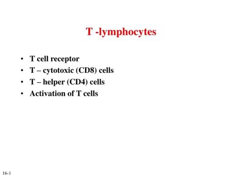 Ppt T Lymphocytes Powerpoint Presentation Free Download Id9631818