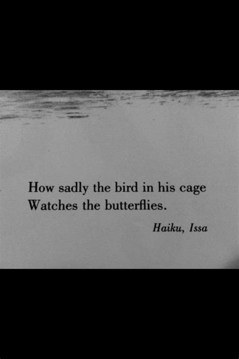 75 best images about Haiku poems on Pinterest | The butterfly, The birds and Poem