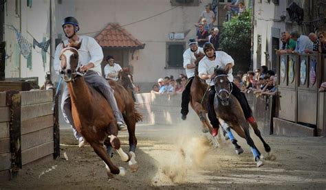 La Storica Corsa Del Palio Delle Contrade Valdorciamiata It