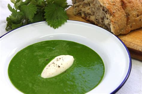 Recipe: Nettle Soup