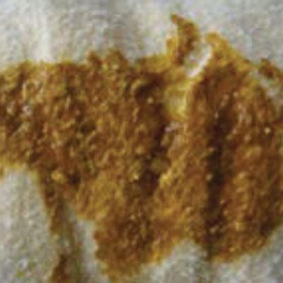 Información sobre el popó – Wyoming WIC
