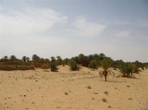 Adrar Pictures - Traveler Photos of Adrar, Adrar Province - TripAdvisor