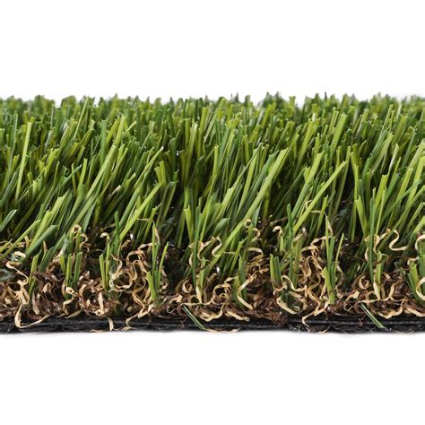 Grass & Grass Seed at Lowes.com