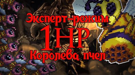 Королева Пчел БЕЗ получения урона! [Монтаж] - YouTube
