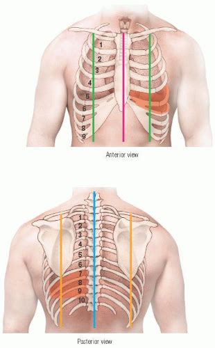 Abnormal Voice Sounds | Thoracic Key