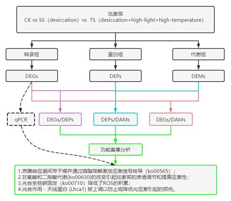 项目文章 转录 蛋白 代谢三组学联合揭示坛紫菜抗逆机制 自主发布 资讯 生物在线