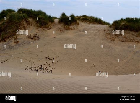 On the Beach Camber Sands Stock Photo - Alamy