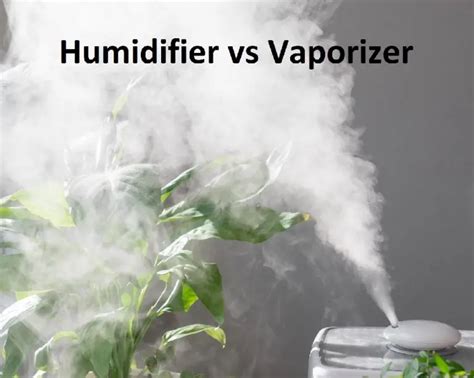 Key Differences Between Humidifier And Vaporizer Difference Camp