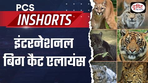 International Big Cat Alliance IBCA PCS Inshorts Drishti PCS