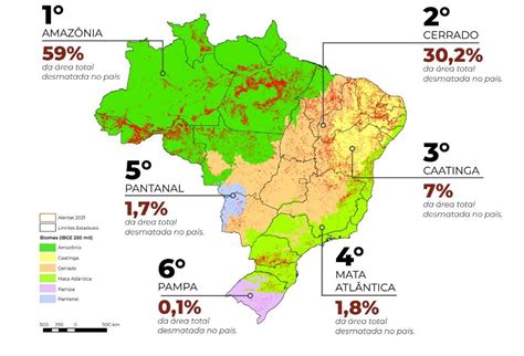 Ecologia DESMATAMENTO AUMENTA 20 EM TODOS OS BIOMAS IGUASSU News