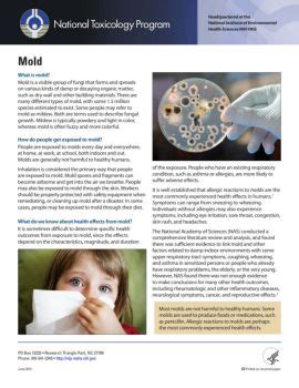 NTP Mold Fact Sheet Flipbook By FlipHTML5