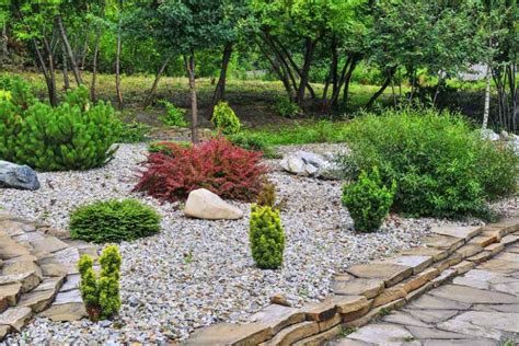 Rocks for Landscape: Discover the Power of Natural Stone for Your ...