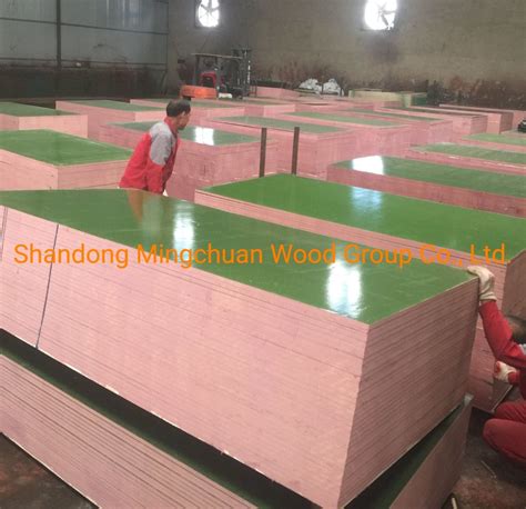 Green Pp Plastic Film Faced Plywood Shuttering Construction Hardwood