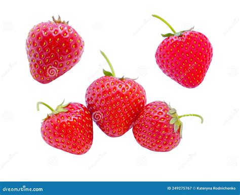 Conjunto De Fresas Grandes Aisladas De Fondo Blanco Imagen De Archivo