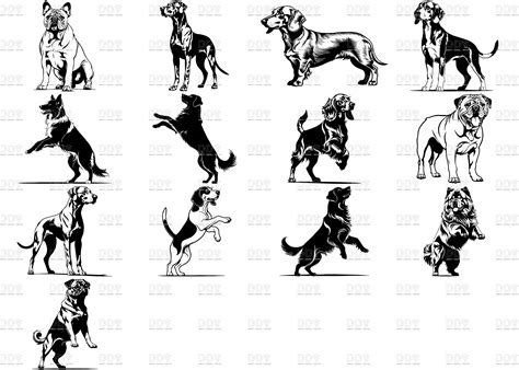 Dog Svg Bundle Dog Svg Vector File Dog Svg Cut Files Dog Face Svg