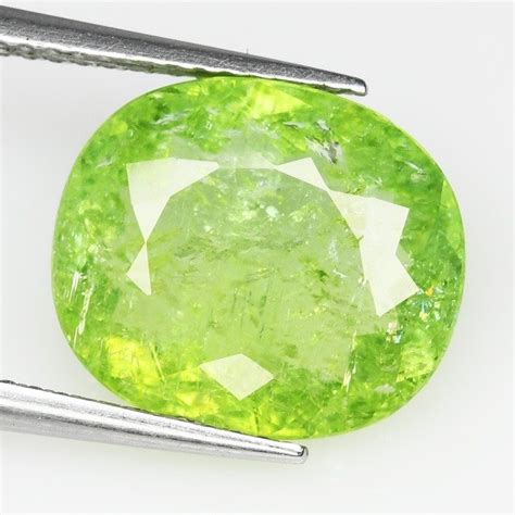 No Reserve Yellowish Green Paraiba 5 45 Ct Catawiki