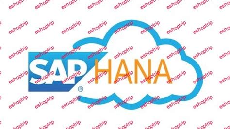 Sap Abap On Hana Training For Beginners Experience Eshoptrip