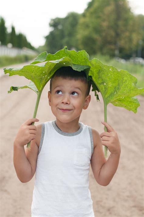 Boy Hooligan Burdock Free Photo On Pixabay Pixabay