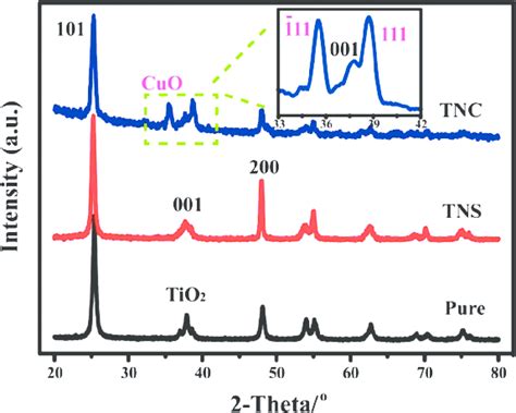 X Ray Diffraction Xrd Patterns Of Pure Tio 2 Tns And Tnc