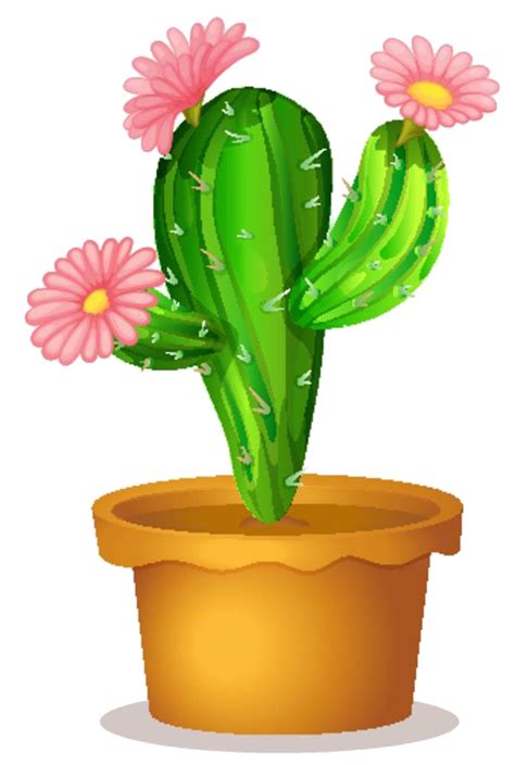 Succulent Clipart Transparent Succulent Transparent Transparent Free