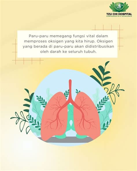 Menjaga Kesehatan Paru Paru Tzu Chi Hospital