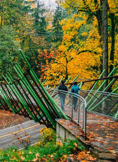 10+ JAW-DROPPING Hikes at the OREGON COAST (+Tips)