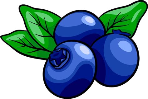 Premium Vector | Blueberry fruits cartoon illustration