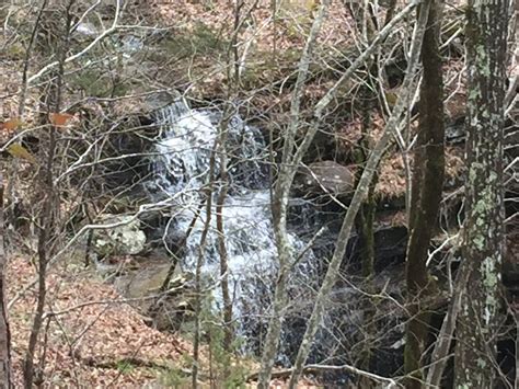 Searching for Waterfalls in the Ozark National Forest – Travels with Abby