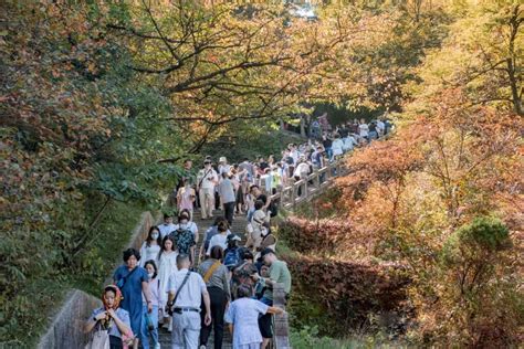 池州这十年 九华山篇 向“世界旅游目的地”阔步前行池州新闻中心长江网cjncn