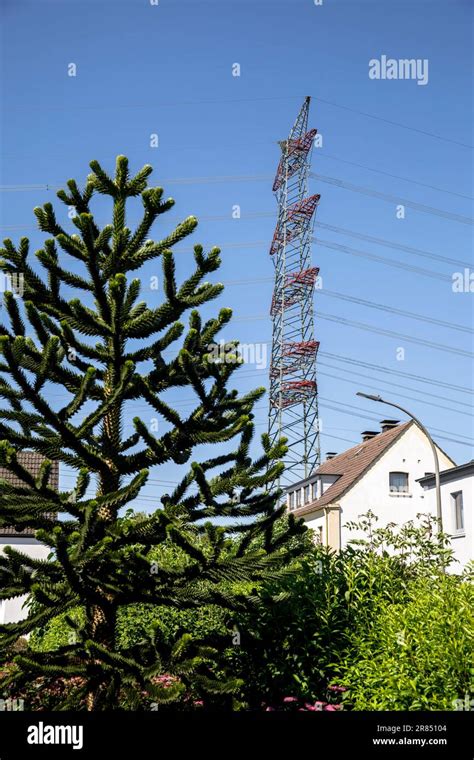 High Voltage Pylons In Herdecke With Kilovolt Line With Pylons Up