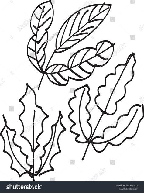 3 Doodle Leaves Set Isolated Vector Stock Vector Royalty Free