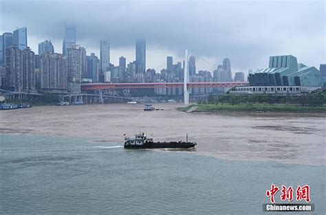 长江、嘉陵江水位上涨 重庆两江交汇现“鸳鸯锅”景观 上游新闻 汇聚向上的力量