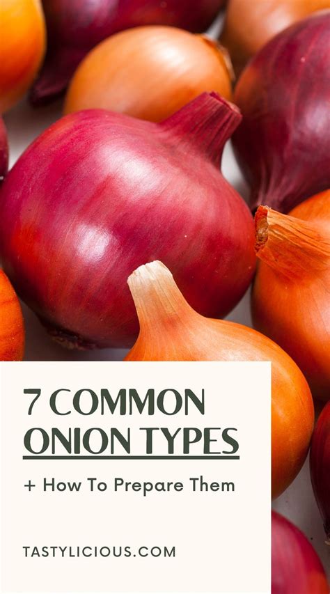 Common Onion Types How To Prepare Them Tastylicious Onion