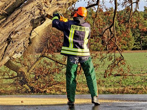 Persönliche Schutzausrüstung beim Einsatz der Motorkettensäge Sichere