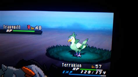 [5] random encounter with a Shiny Tranquil : r/ShinyPokemon