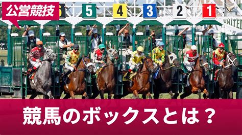 競馬のボックスとは？点数や計算方法・フォーメーションとの違いを解説